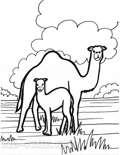 camel-coloring-pages-218.jpg