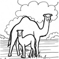 camel-coloring-pages-218.jpg
