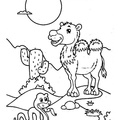 camel-coloring-pages-222.jpg
