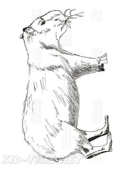 capybara-coloring-pages-002.jpg