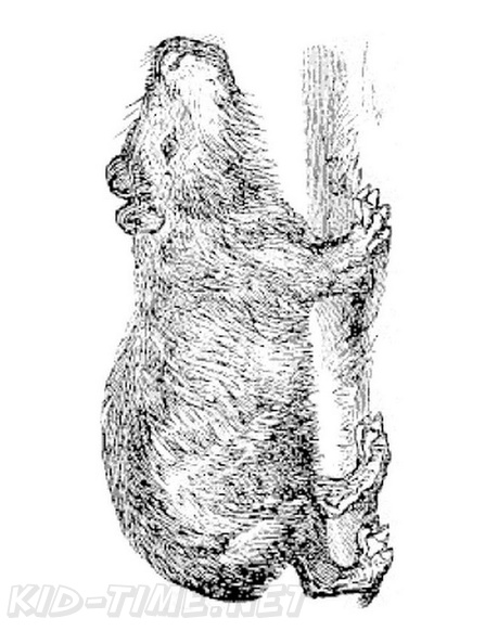 capybara-coloring-pages-003.jpg