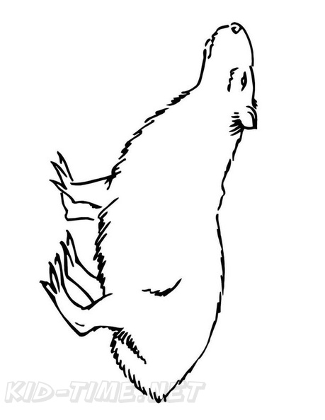 capybara-coloring-pages-007.jpg
