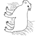 capybara-coloring-pages-011.jpg