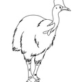Cassowary_Coloring_Pages_002.jpg