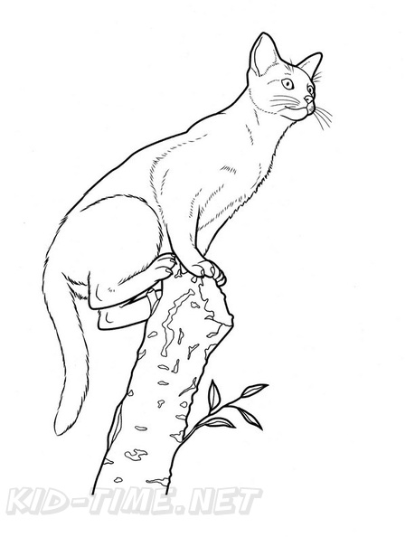 Abyssinian_Cat_Coloring_Pages_001.jpg