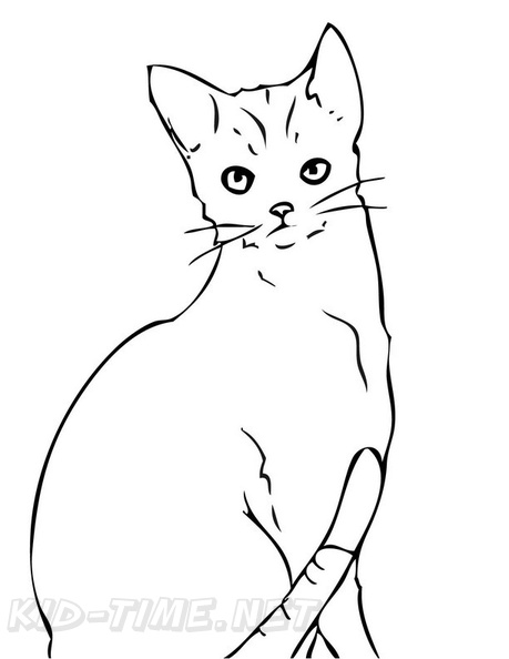 Abyssinian_Cat_Coloring_Pages_005.jpg