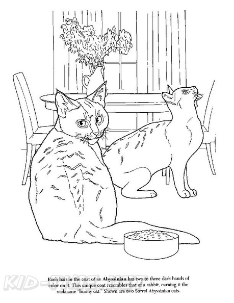 Abyssinian_Cat_Coloring_Pages_010.jpg
