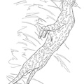 African_Serval_Cat_Coloring_Pages_001.jpg