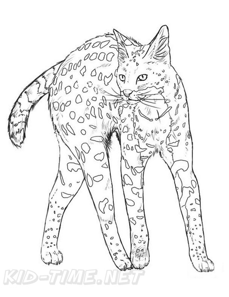 African_Serval_Cat_Coloring_Pages_004.jpg