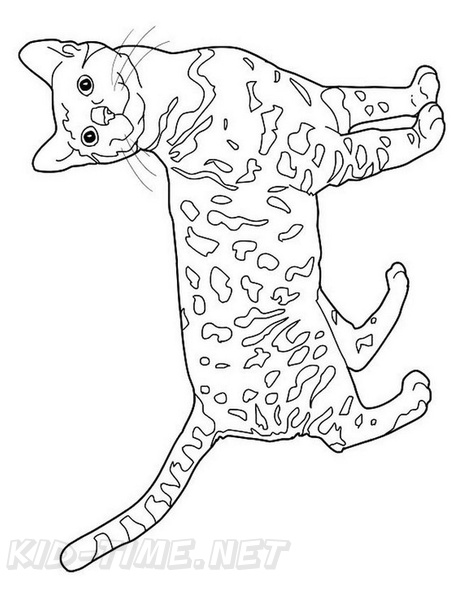 Bengal_Cat_Coloring_Pages_002.jpg