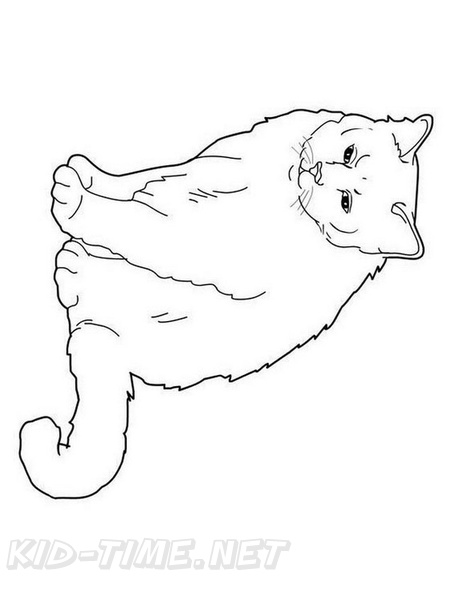 Birman_Cat_Coloring_Pages_006.jpg