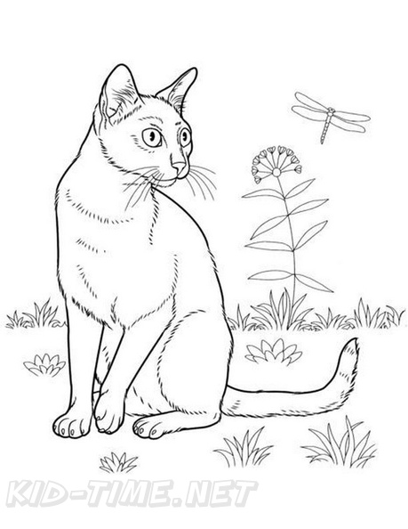 Bombay_Cat_Coloring_Pages_001.jpg