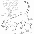 Bombay_Cat_Coloring_Pages_002.jpg