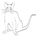 Bombay_Cat_Coloring_Pages_005.jpg