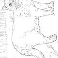 British_Shorthair_Cat_Coloring_Pages_004.jpg