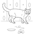 cats-cat-coloring-pages-005.jpg