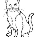 cats-cat-coloring-pages-007.jpg