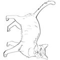 cats-cat-coloring-pages-068.jpg