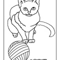 cats-cat-coloring-pages-079.jpg