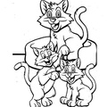 cats-cat-coloring-pages-241.jpg