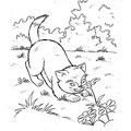 cats-cat-coloring-pages-289.jpg