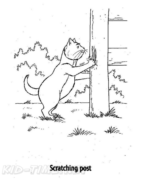 cats-cat-coloring-pages-291.jpg