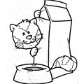 cats-cat-coloring-pages-355.jpg