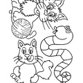 cats-cat-coloring-pages-683.jpg