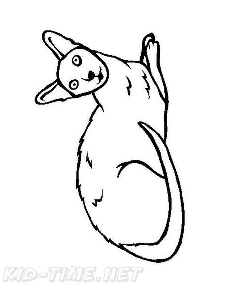 Colorpoint_Shorthair_Cat_Coloring_Pages_003.jpg