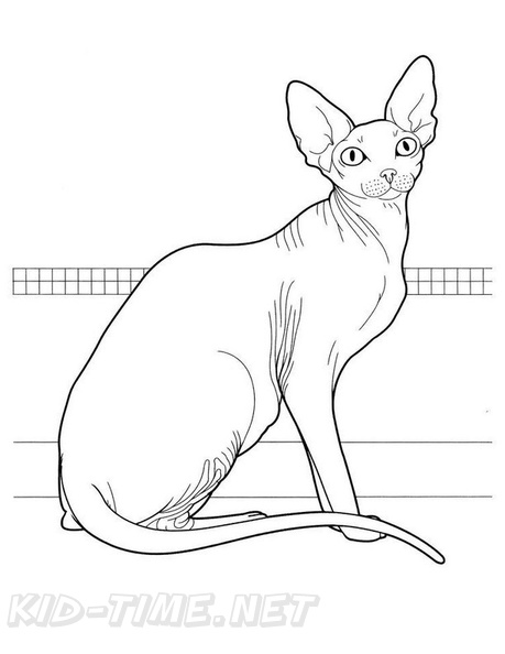 Cornish_Rex_Cat_Coloring_Pages_006.jpg