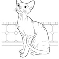 Devon Rex Cats Coloring Book Page