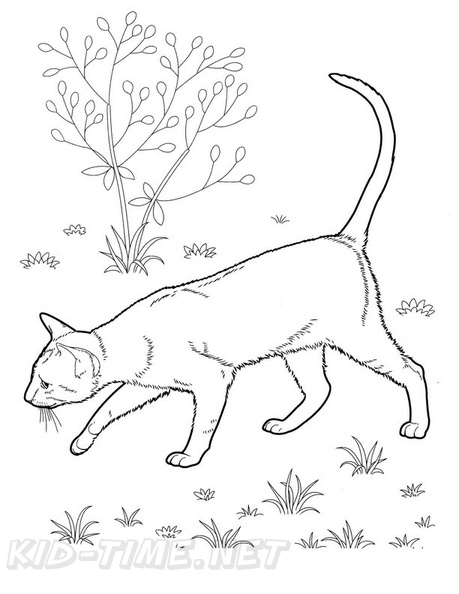 East_Shorthair_Cat_Coloring_Pages_001.jpg