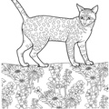 Egyptian_Mau_Cat_Coloring_Pages_001.jpg