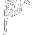 Egyptian Mau Cat Breed Coloring Book Page
