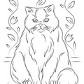 Himalayan Cat Breed Coloring Book Page