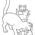 Kittens_Cat_Coloring_Pages_119.jpg