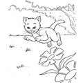Kittens_Cat_Coloring_Pages_172.jpg