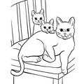 Kittens_Cat_Coloring_Pages_271.jpg
