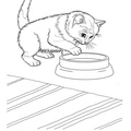 Kittens_Cat_Coloring_Pages_308.jpg