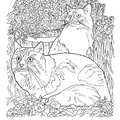 Maine_Coon_Cat_Coloring_Pages_002.jpg