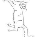 Maine_Coon_Cat_Coloring_Pages_003.jpg
