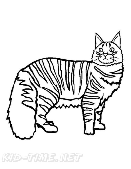 Maine_Coon_Cat_Coloring_Pages_004.jpg
