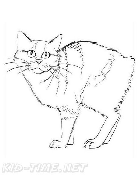 Manx_Cat_Coloring_Pages_004.jpg