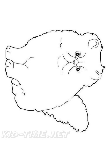 Persian_Cat_Coloring_Pages_001.jpg