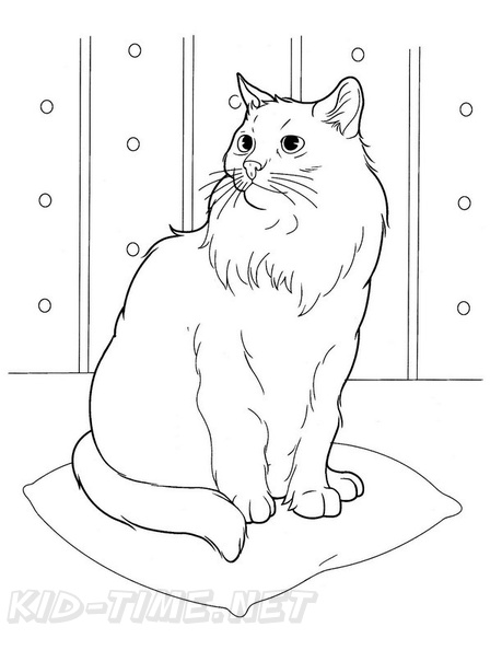 Persian_Cat_Coloring_Pages_003.jpg