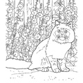 Persian Cat Breed Coloring Book Page