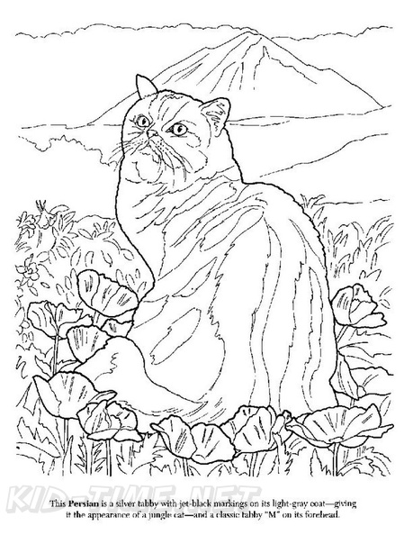 Persian_Cat_Coloring_Pages_007.jpg