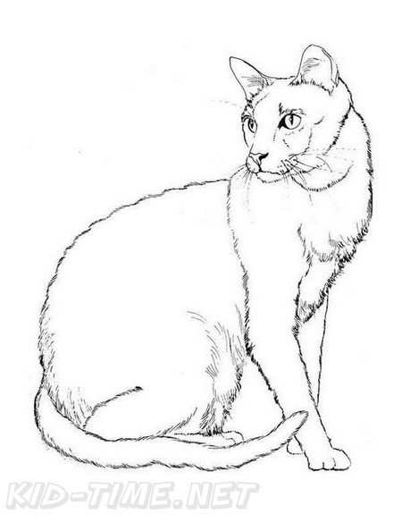 Realistic_Cat_Cat_Coloring_Pages_001.jpg