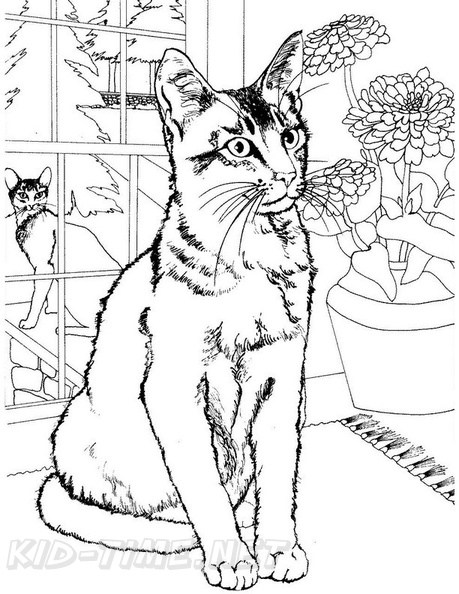 Realistic_Cat_Cat_Coloring_Pages_011.jpg