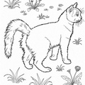 Realistic Cats Coloring Book Page
